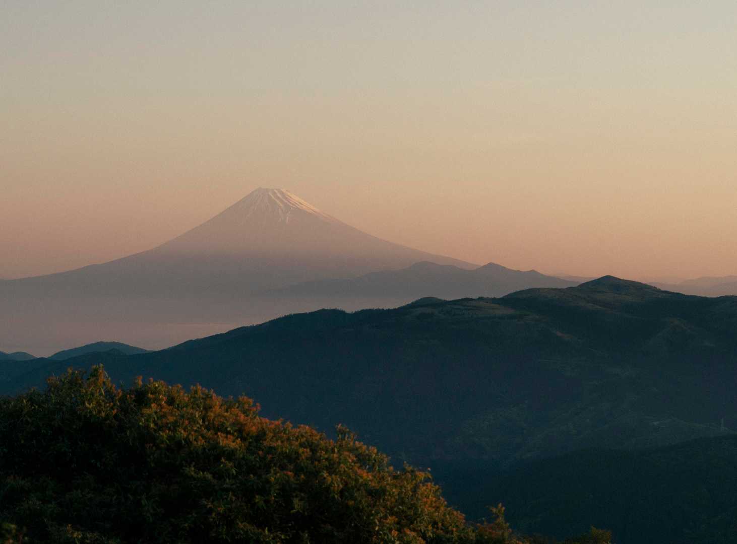 天城峠バス停-天城峠-二本杉峠-滑沢峠-つげ峠-猫越峠-水 縦走コースの写真