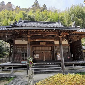 大澤寺、見所多いです🙏