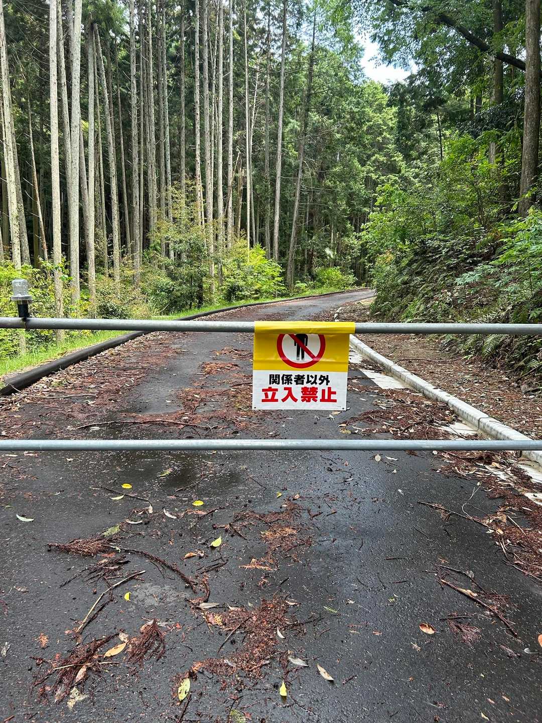 車両は立ち入り禁止🚧