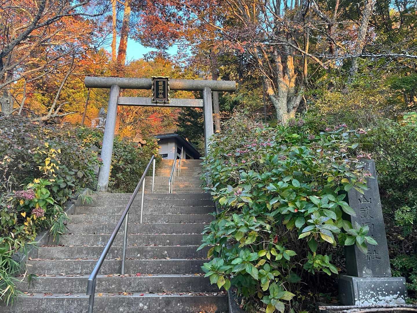 ここを降り