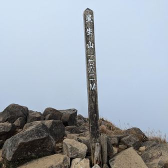 残念ながら視界は限られました