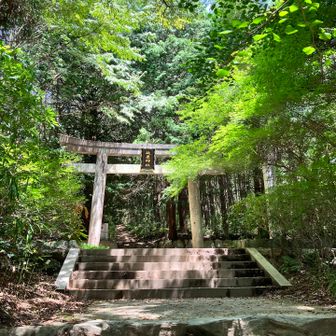 少しの時間を貰えたので
やっぱりここ⛰️🏃‍♂️