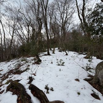 雪深くなります。