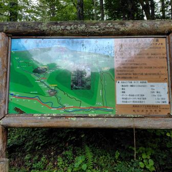そして今日茂来山へ　🅿️には先行車１台　あとは軽トラが１台