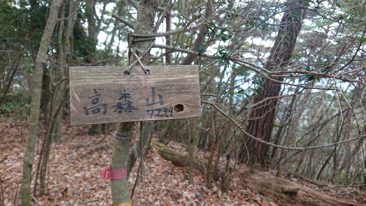 でも来れました♪