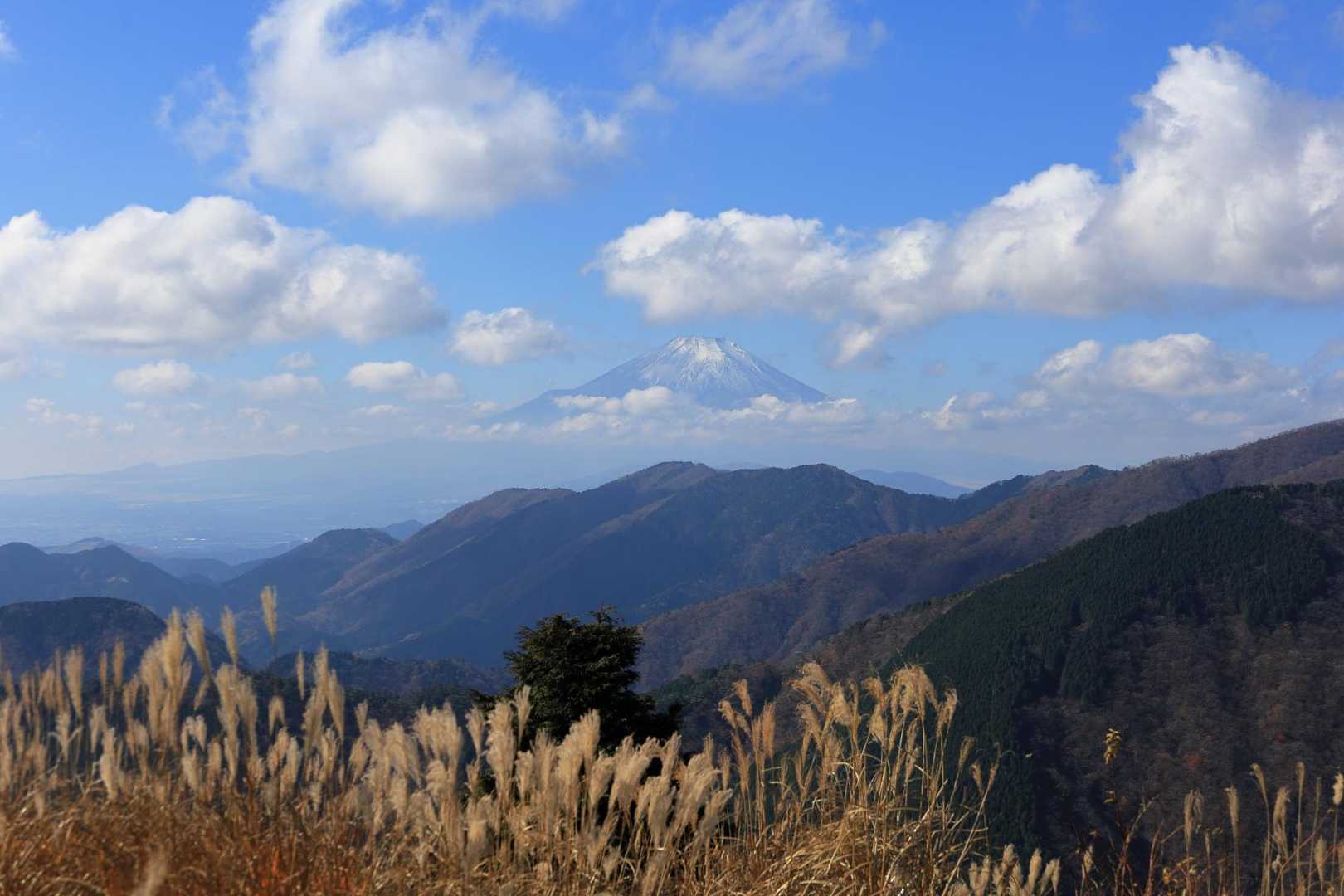 烏尾山までやってくると、雲が切れて富士山が見えてきました！
