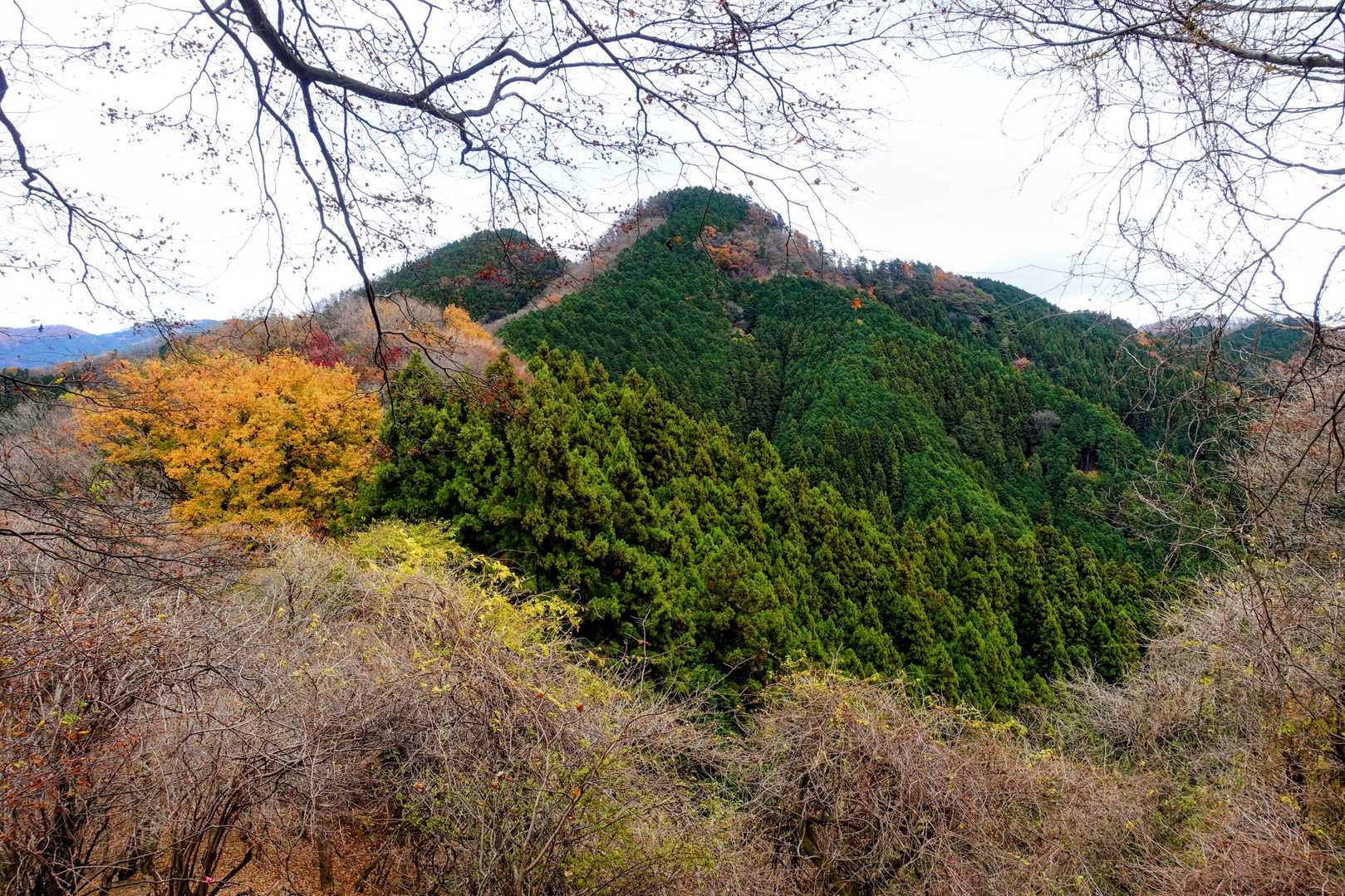 二子山を振り返る
本当にふたこぶです