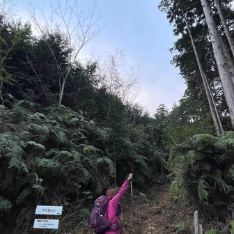 山友さんの恒例のやる気ポーズ