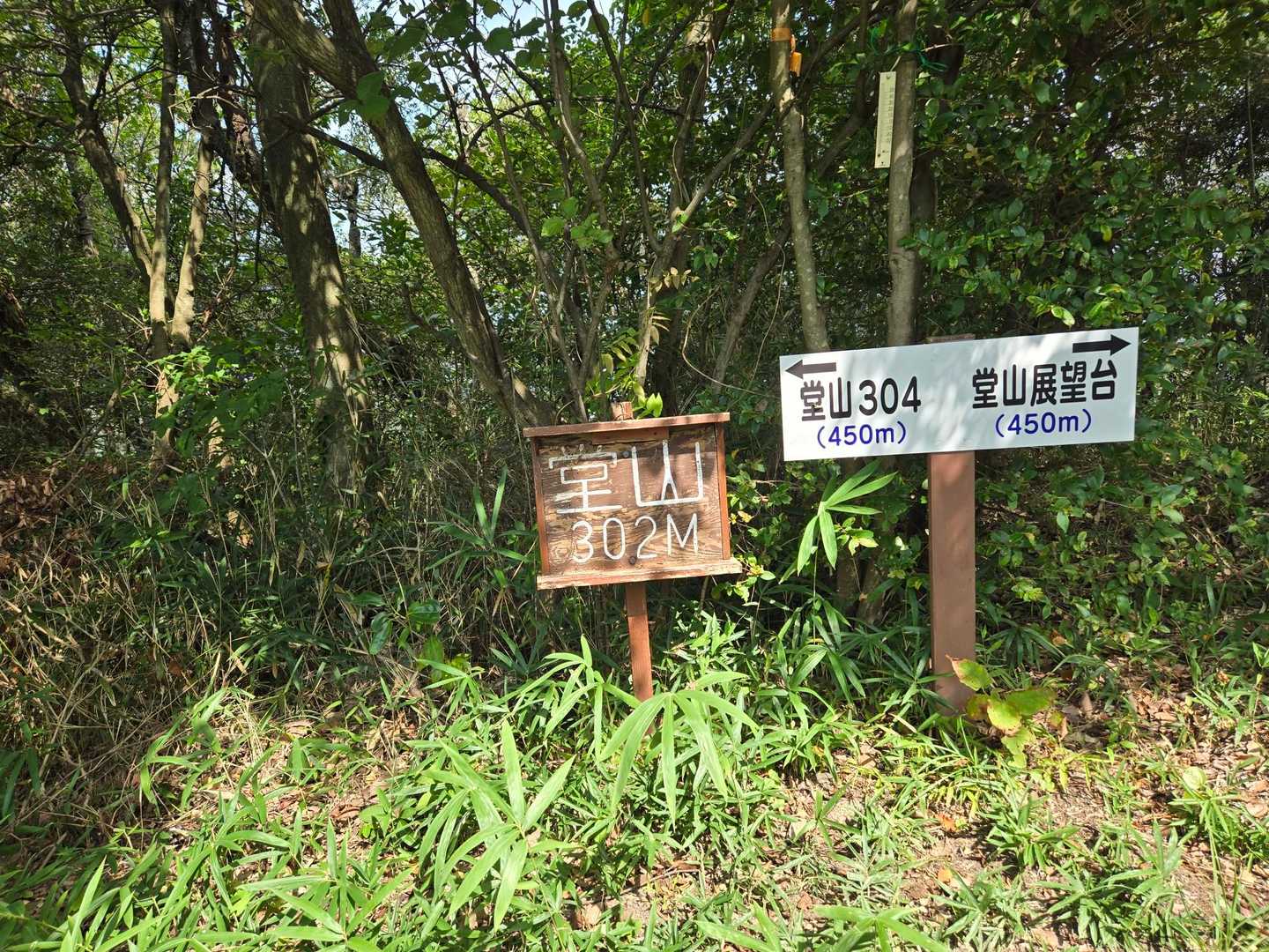 堂山到着⛰️
