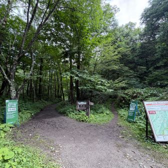横尾に、行動時間の確認のお願いがありました