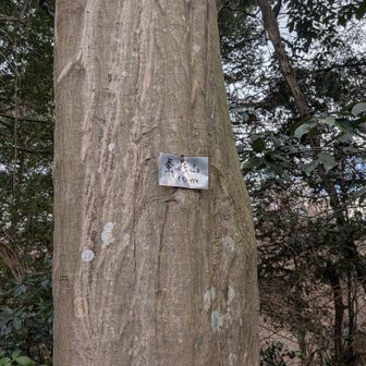 そんな山頂感のない10座目です。