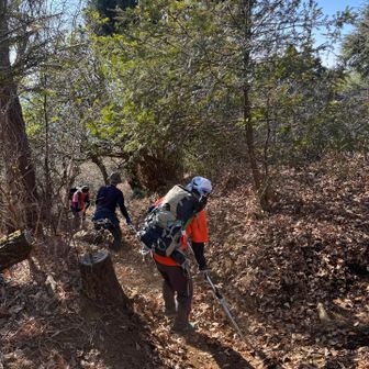 せっせと下へ下へ