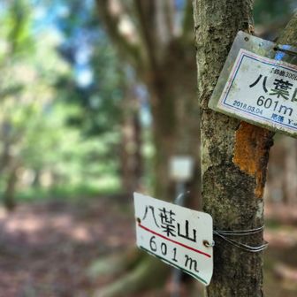八葉山⛰️
今回山行で一番高い山⛰️っす☝

って…事は…観光大使のあの方へ敬意を表すのだ✌