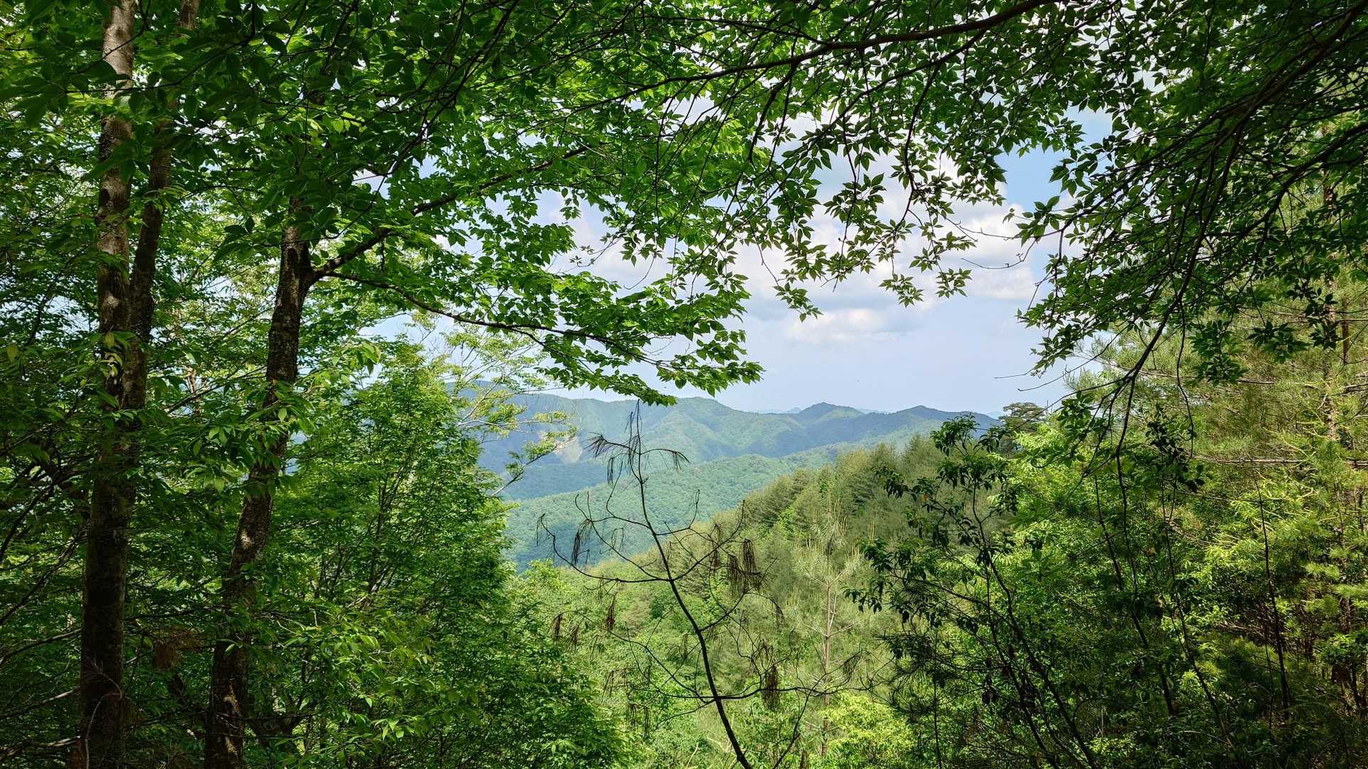 爽やかな山行でした💚