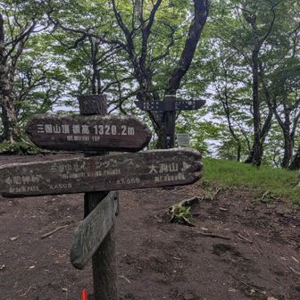 三国山到達。
この時点で、鉄砲木ノ頭に行くか、悩みました。
スルーして下山すれば手ぬぐいの引き換えに間に合いそうだったからです（笑
でも、前回ミスコースでとり逃した山。あきらめられませんでした。