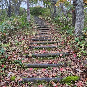 長官山からの下り階段