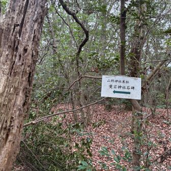 西野山山頂付近から この表示が現れだし、気になっていました。

山頂過ぎてからずっといくけど、行ってみようかな👀
行った分、戻らないといけないけれど。