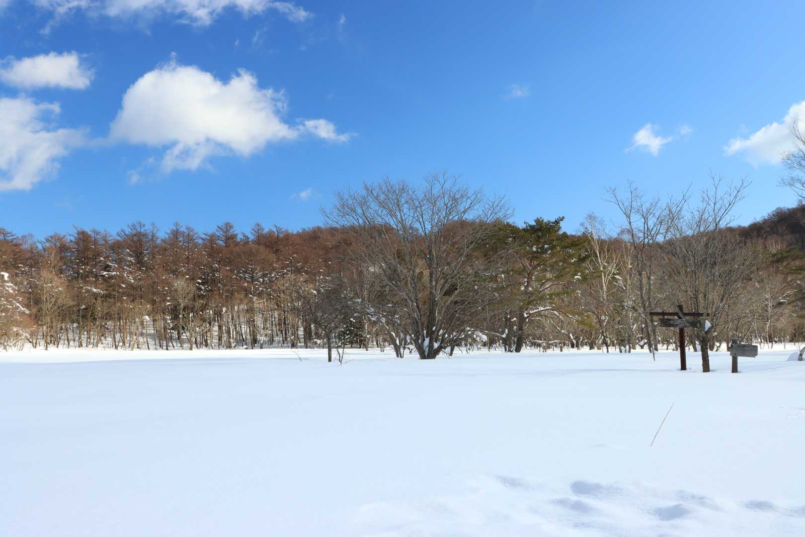 沼があるっぽいですが雪の下で平原になってます