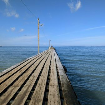 岡本桟橋。
ここもバズってたはず。
観光客ひっきりなしでした。