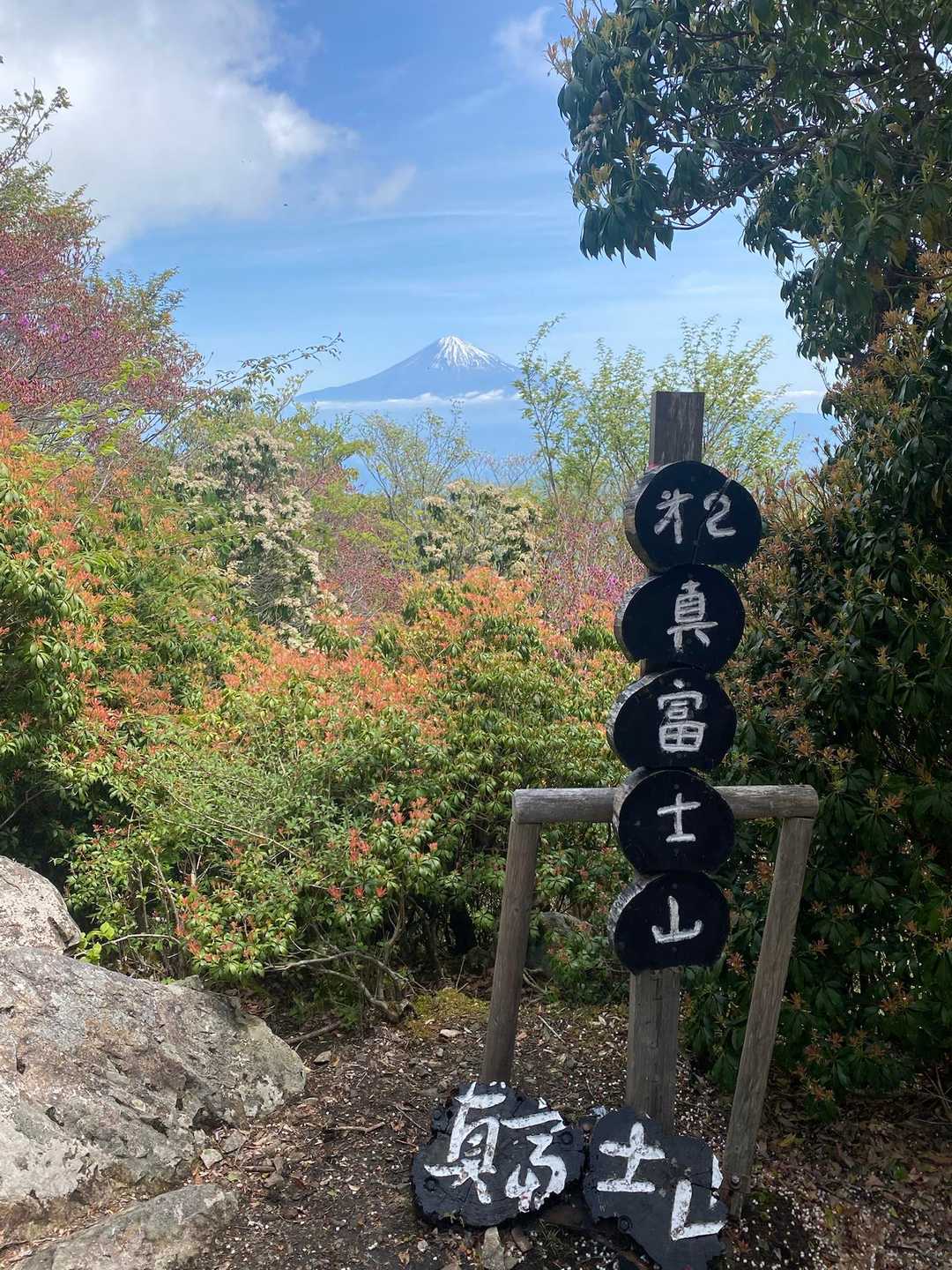 富士山と手前の花が綺麗だった