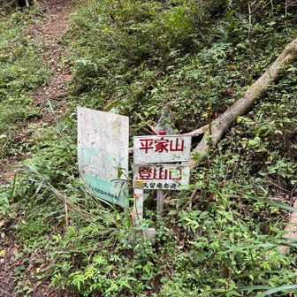 前回はここを通った