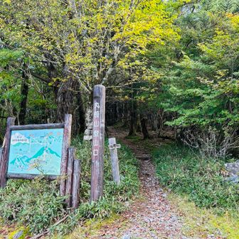 ここが正解の登山口❗️