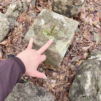 グワシ‼️

ターッチじゃないのか
まことちゃんかよ。