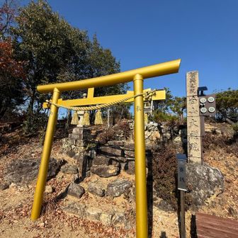 輝く黄金の鳥居