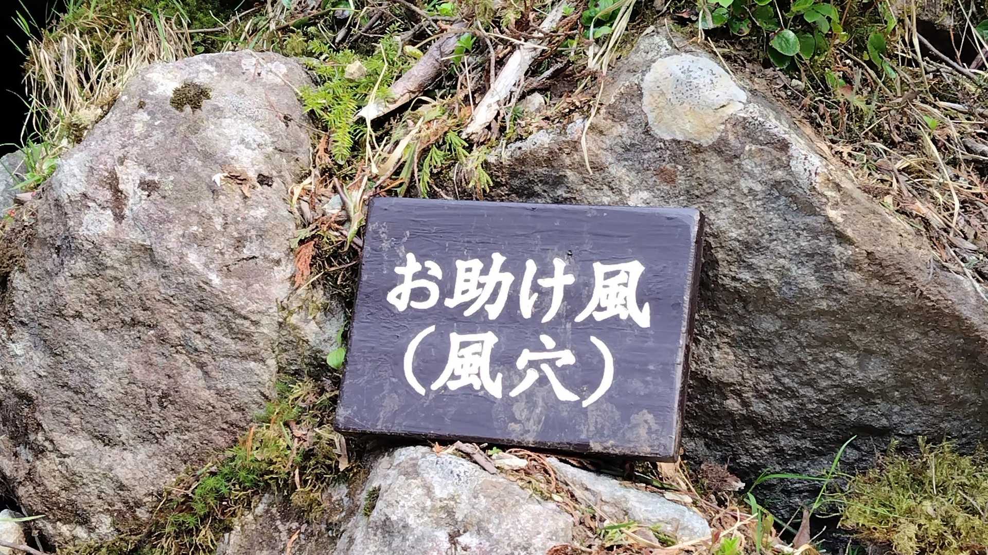風穴が涼しい😌