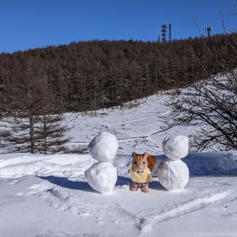 最後まで見ていただきありがとうございました＼(^o^)／