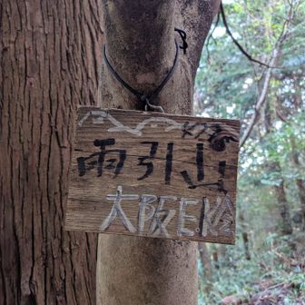 短いけどまぁまぁ急な登山道が
雨の影響でプチ沢になってあり
下りが極悪だった
