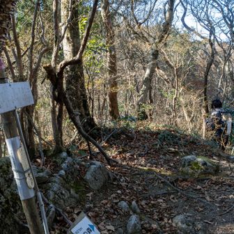 頭巾山山頂から頭巾山コースでスタート地点の昭和の森へ下りていきます