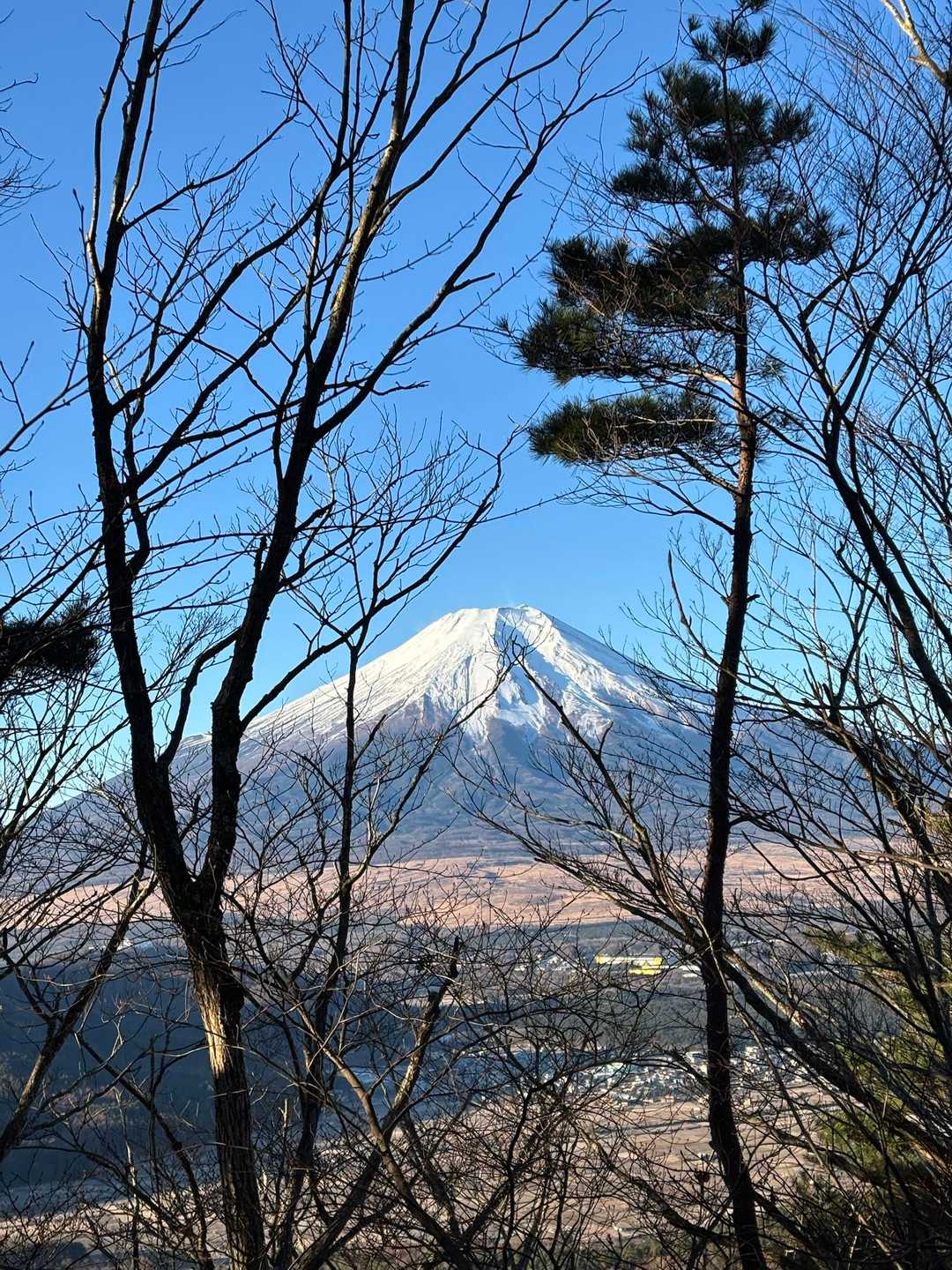 常に左手に富士山🗻が見れる幸せ😀