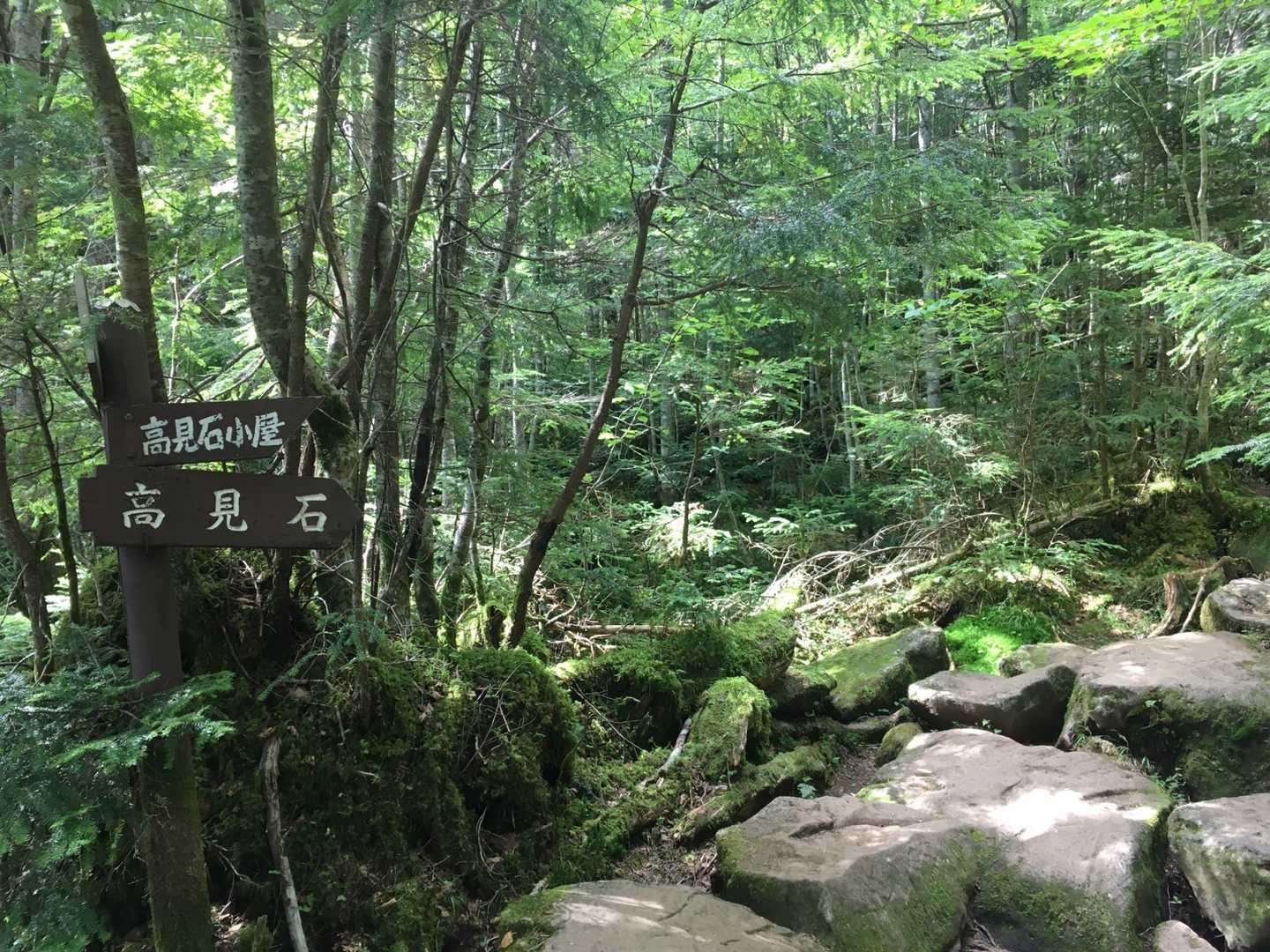 渋の湯バス停-渋ノ湯登山口-麦草峠-大石峠-中小場-縞枯山 縦走コースの写真