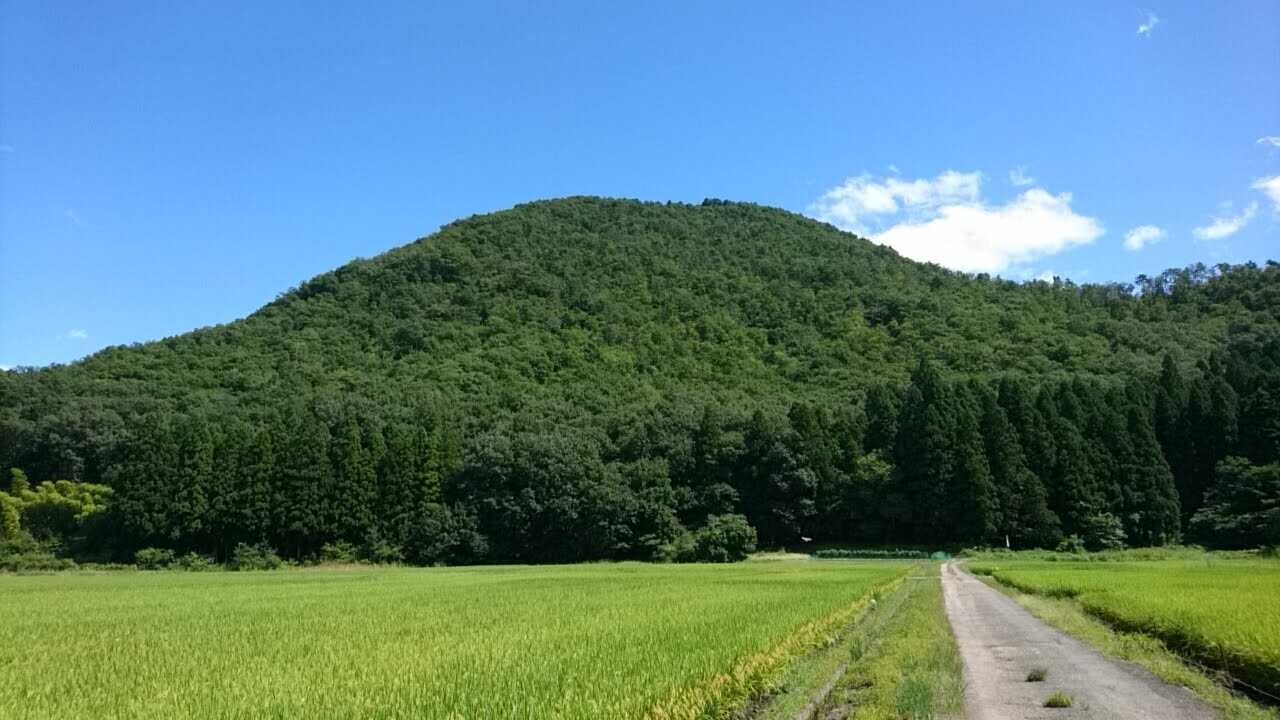 大岡山の写真