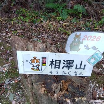 相澤山登山口に犬山市公式キャラの「わん丸君」居た！🐶
確か先日の「彦根ご当地キャラ博」にも来てたよネ！
