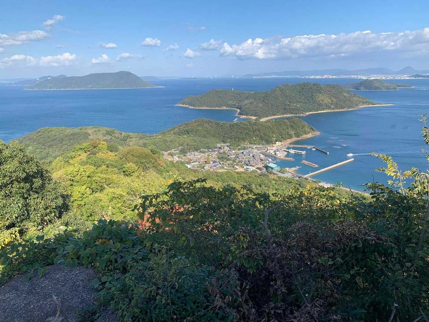 城山 往復コースの写真