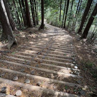 細かい段差の階段　微妙に歩きにくい😅