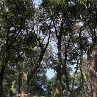 風もないことだし誰かきたら次に行くつもりが2０分ほど待ってしまった🤣