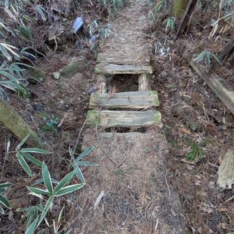 木が腐ってきてそう。
スーパージャンプで突破！