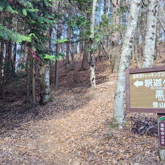一旦車道に出て

こちらから釈迦ヶ岳目指しﾏｽ👣

こちらではかなりの方々とスライド🚶

みなさん釈迦ヶ岳→黒岳周回なんかな(・・?