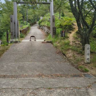 「修行門」と書かれた鳥居⛩️をくぐって