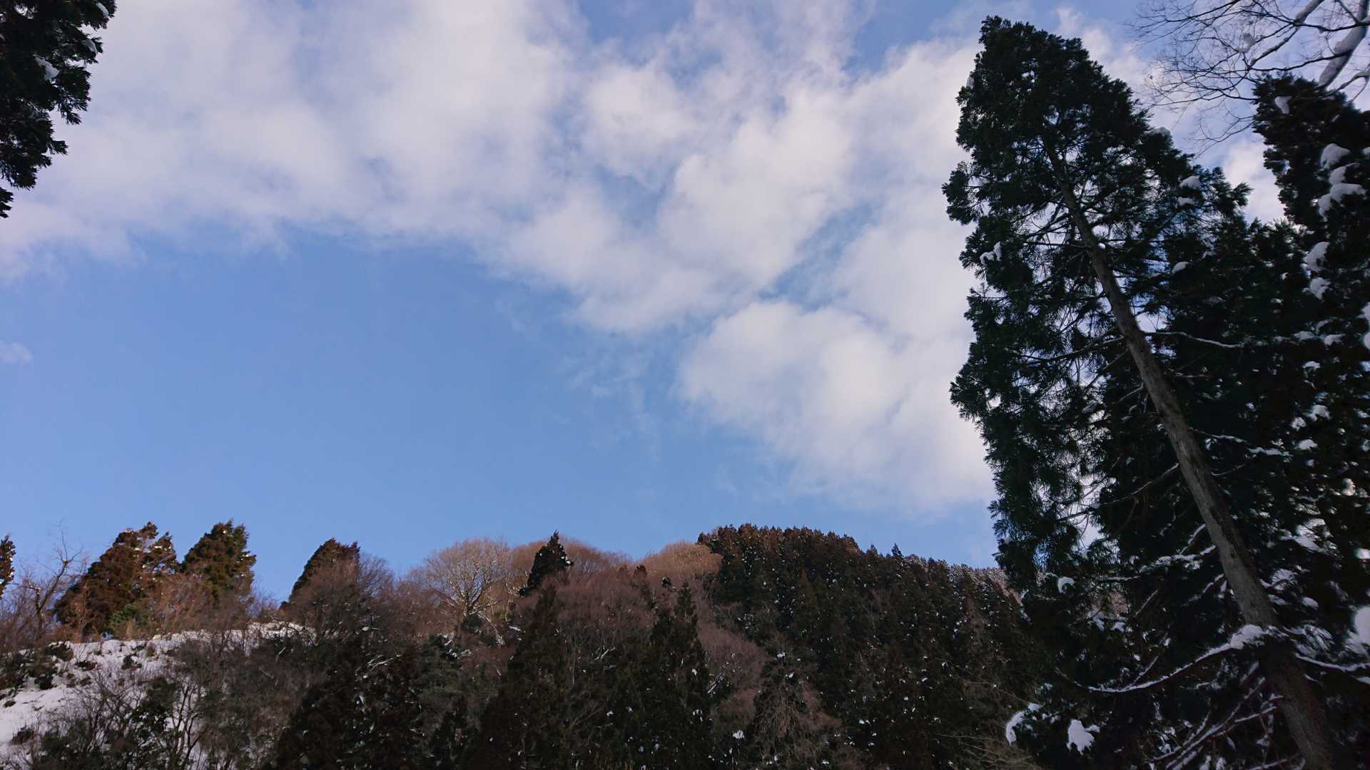 時折青空も見えて元気づけられます