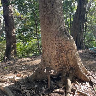 7番目の峰・小一足