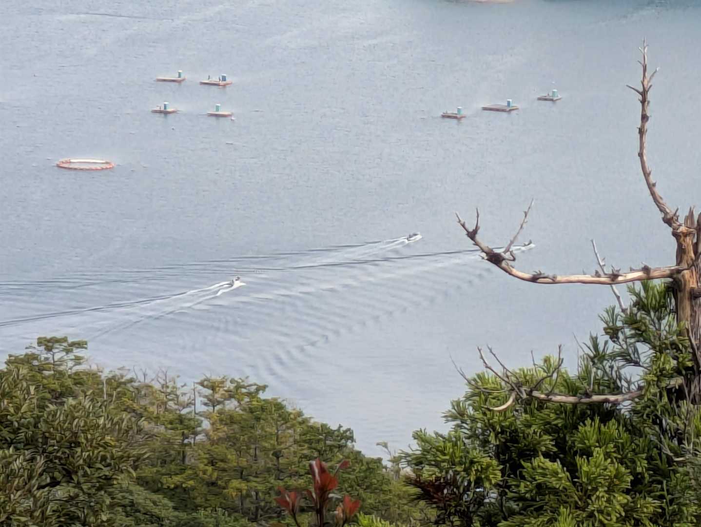 小舟が3艘ゆくのを眺める
釣りかな 沖まで行くのかな🎣
ここから私が見ているとは思わないだろう