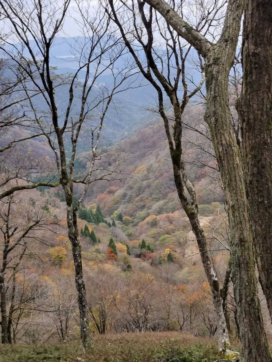 木地山前バス停-若狭駒ヶ岳-与助谷山 周回コースの写真