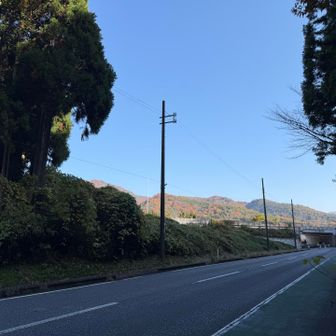登山口からチラッと見える小谷山
近いし怖い