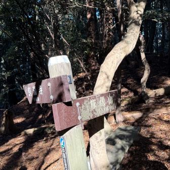 伊努谷(イヌダニ)峠