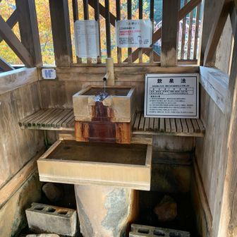 飲めます。

旅館のごはんがおいしかったです。