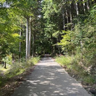 しばらく舗装路。